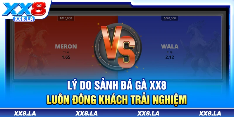 Lý do sảnh đá gà XX8 luôn đông khách trải nghiệm